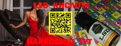 стафф Донской