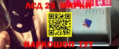 стафф Донской