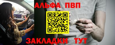 стафф Донской