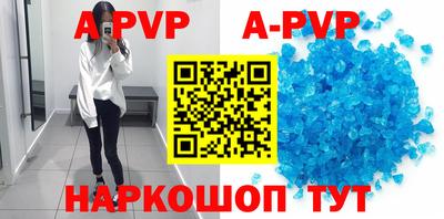 стафф Донской