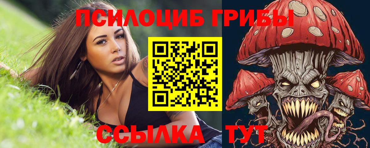 Галлюциногенные грибы Cubensis  Вход с VPN  Псилоцибиновые грибы Cubensis  Нефтекумск 